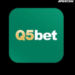Q5Bet Game